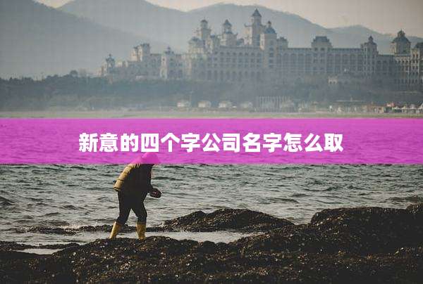 新意的四个字公司名字怎么取