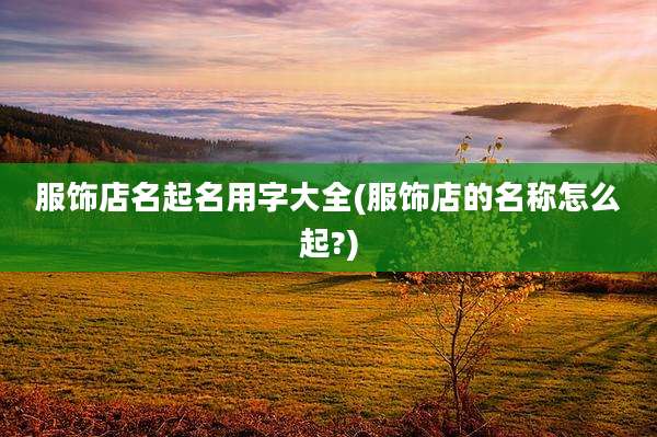 服饰店名起名用字大全(服饰店的名称怎么起?)