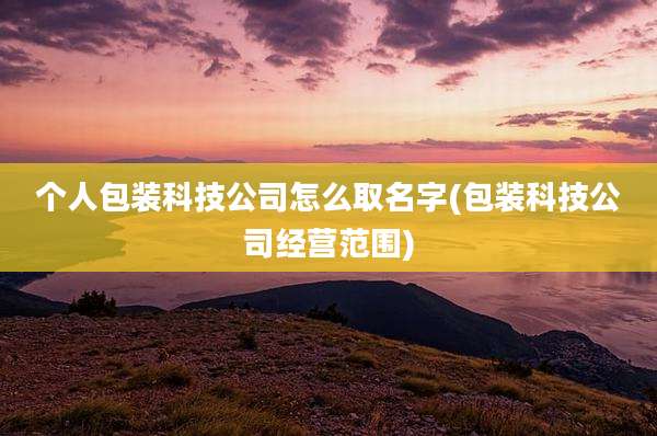 个人包装科技公司怎么取名字(包装科技公司经营范围)