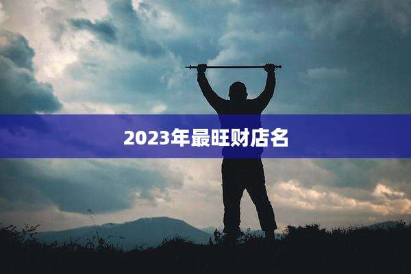 2023年最旺财店名