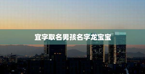 宜字取名男孩名字龙宝宝