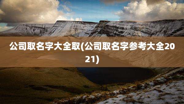公司取名字大全取(公司取名字参考大全2021)