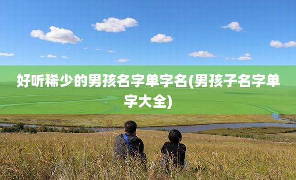 好听稀少的男孩名字单字名(男孩子名字单字大全)