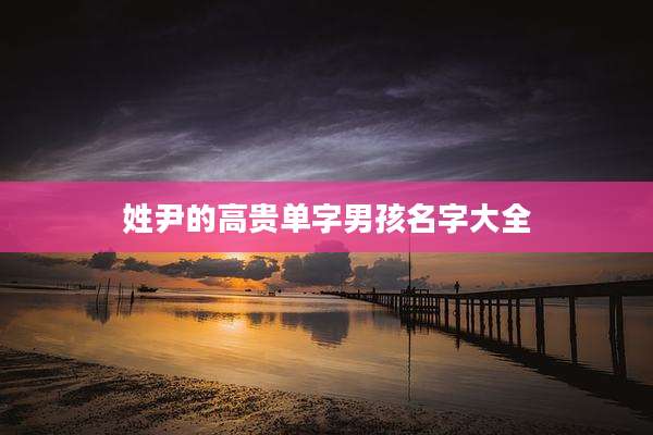 姓尹的高贵单字男孩名字大全