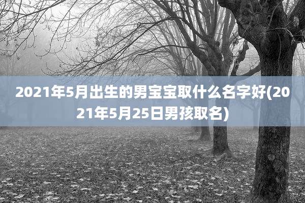 2021年5月出生的男宝宝取什么名字好(2021年5月25日男孩取名)