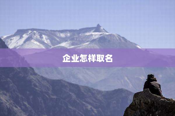企业怎样取名