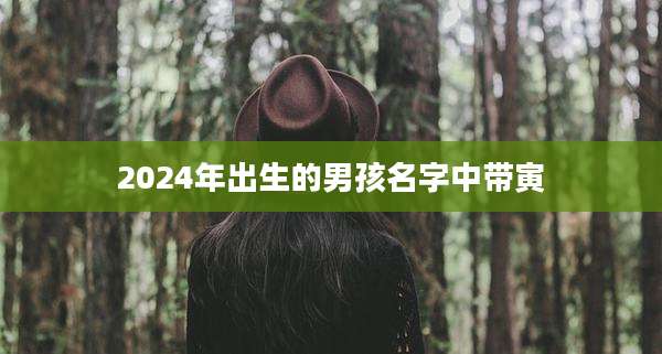 2024年出生的男孩名字中带寅