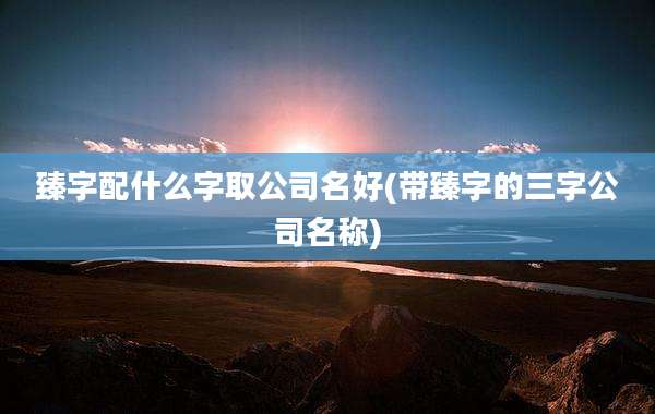 臻字配什么字取公司名好(带臻字的三字公司名称)
