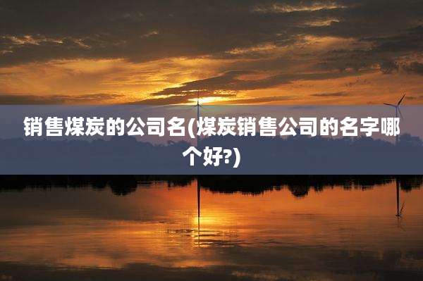 销售煤炭的公司名(煤炭销售公司的名字哪个好?)