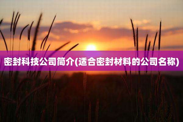 密封科技公司简介(适合密封材料的公司名称)