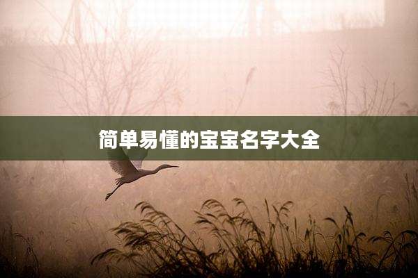 简单易懂的宝宝名字大全