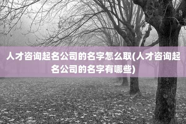 人才咨询起名公司的名字怎么取(人才咨询起名公司的名字有哪些)