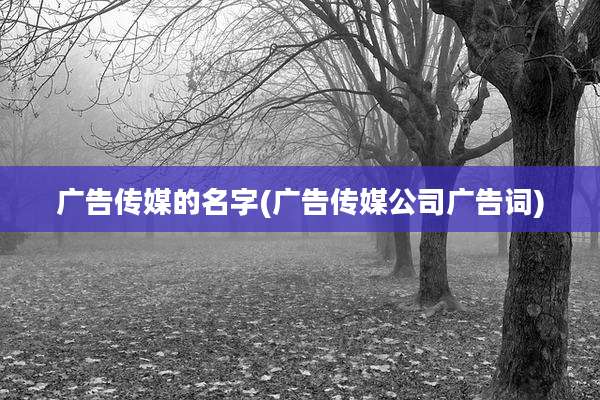 广告传媒的名字(广告传媒公司广告词)
