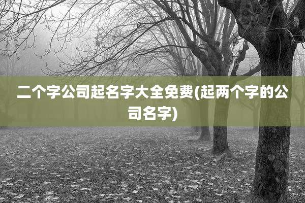 二个字公司起名字大全免费(起两个字的公司名字)