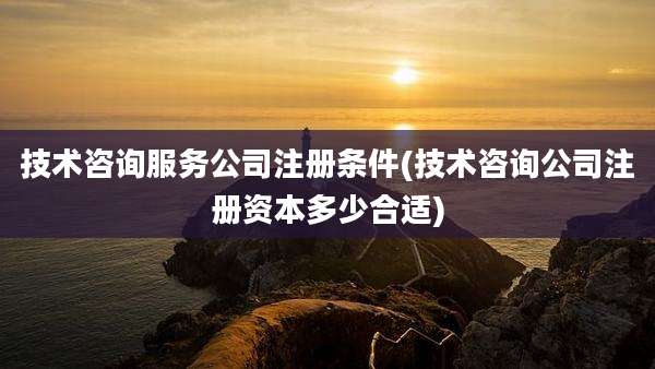 技术咨询服务公司注册条件(技术咨询公司注册资本多少合适)
