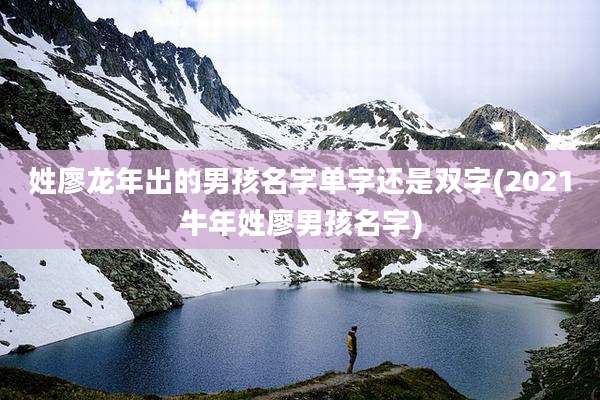 姓廖龙年出的男孩名字单字还是双字(2021牛年姓廖男孩名字)