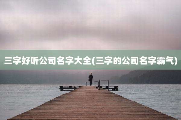 三字好听公司名字大全(三字的公司名字霸气)