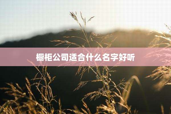 橱柜公司适合什么名字好听