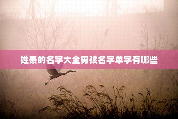 姓聂的名字大全男孩名字单字有哪些