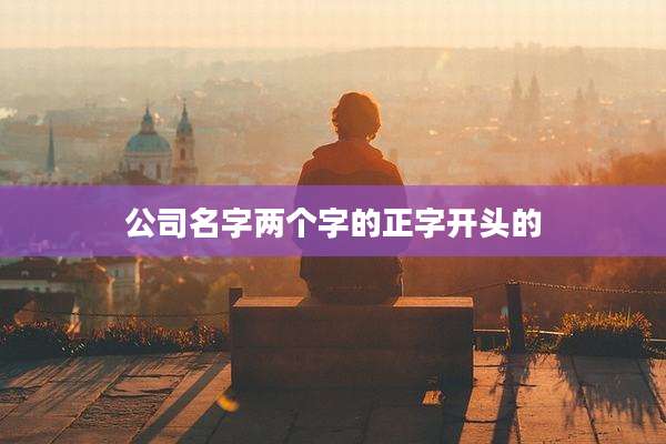公司名字两个字的正字开头的