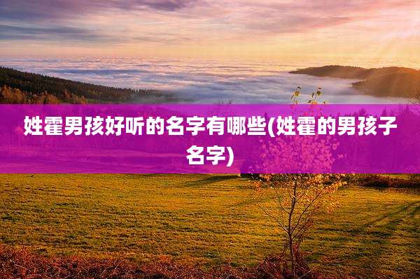 姓霍男孩好听的名字有哪些(姓霍的男孩子名字)