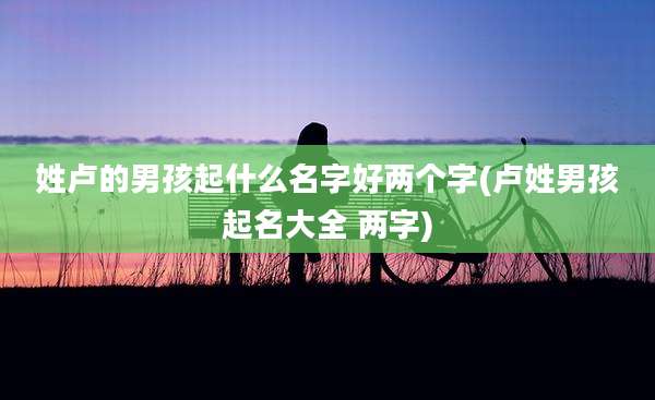 姓卢的男孩起什么名字好两个字(卢姓男孩起名大全 两字)