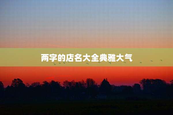 两字的店名大全典雅大气