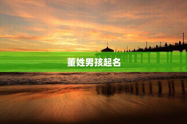 董姓男孩起名