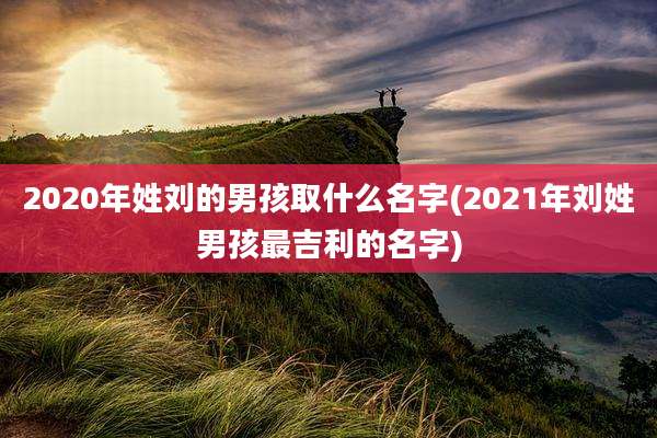 2020年姓刘的男孩取什么名字(2021年刘姓男孩最吉利的名字)