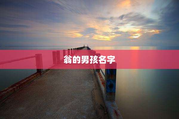 翁的男孩名字