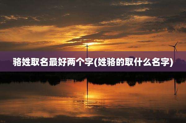 骆姓取名最好两个字(姓骆的取什么名字)