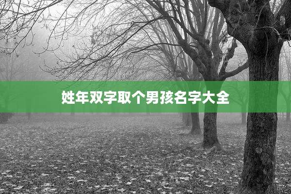 姓年双字取个男孩名字大全