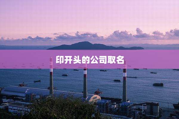 印开头的公司取名