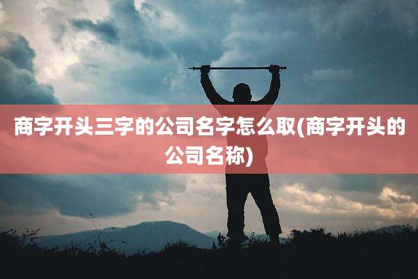 商字开头三字的公司名字怎么取(商字开头的公司名称)