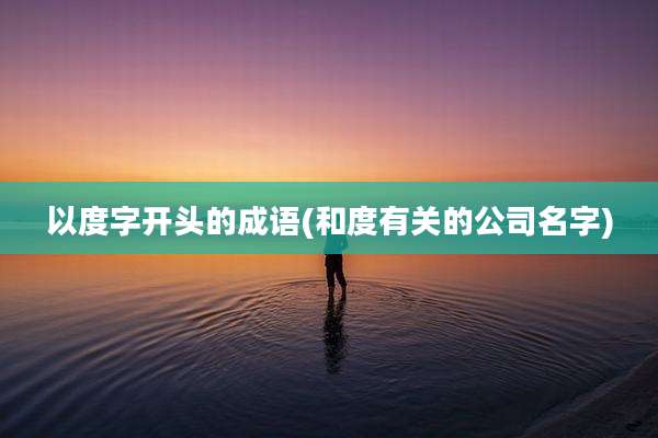 以度字开头的成语(和度有关的公司名字)
