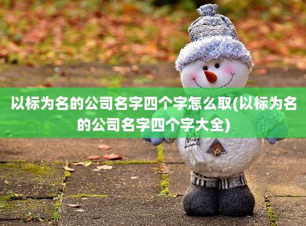 以标为名的公司名字四个字怎么取(以标为名的公司名字四个字大全)