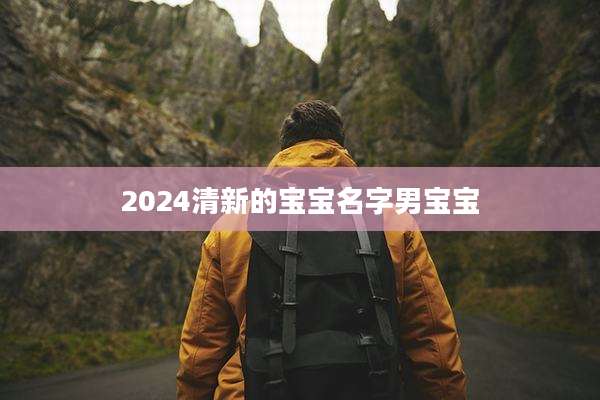 2024清新的宝宝名字男宝宝