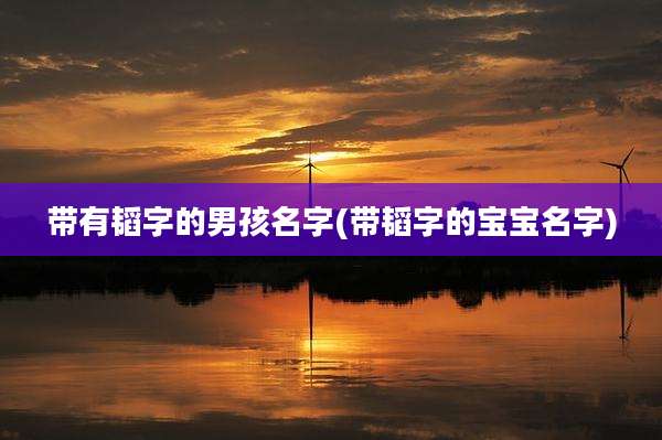 带有韬字的男孩名字(带韬字的宝宝名字)