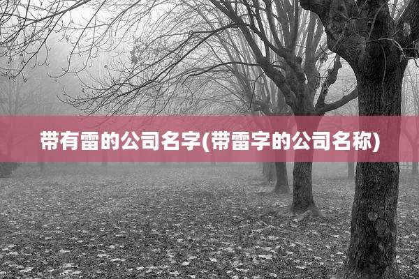 带有雷的公司名字(带雷字的公司名称)