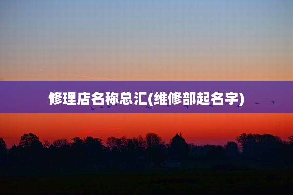 修理店名称总汇(维修部起名字)