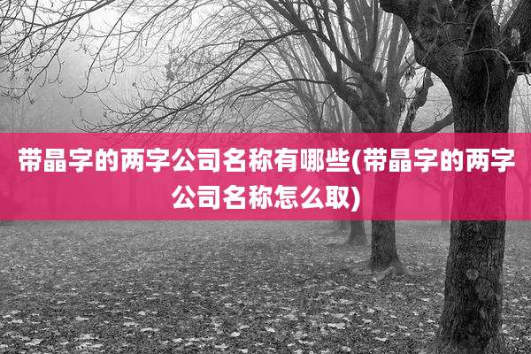 带晶字的两字公司名称有哪些(带晶字的两字公司名称怎么取)