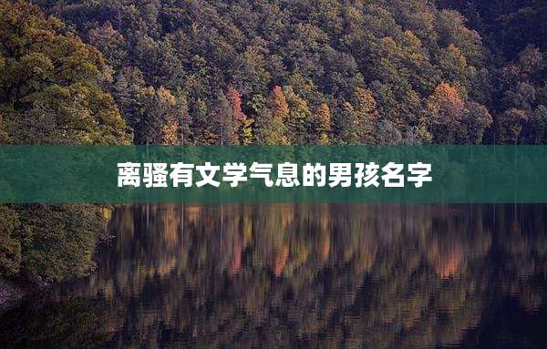 离骚有文学气息的男孩名字