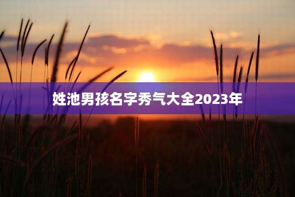 姓池男孩名字秀气大全2023年