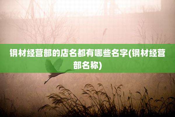 钢材经营部的店名都有哪些名字(钢材经营部名称)