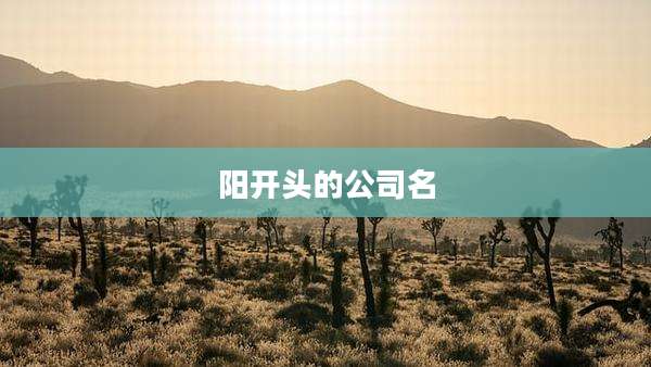 阳开头的公司名