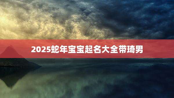 2025蛇年宝宝起名大全带琦男