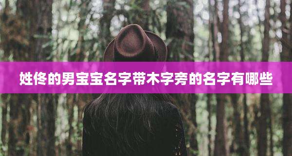 姓佟的男宝宝名字带木字旁的名字有哪些