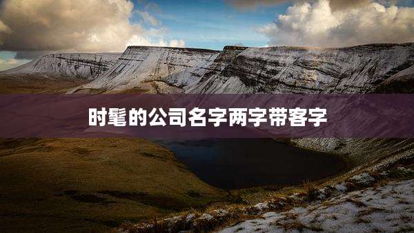 时髦的公司名字两字带客字