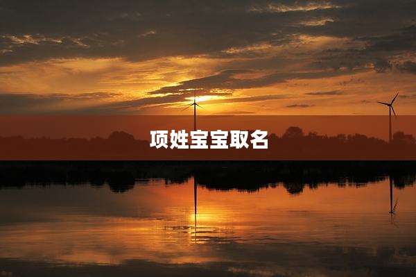 项姓宝宝取名