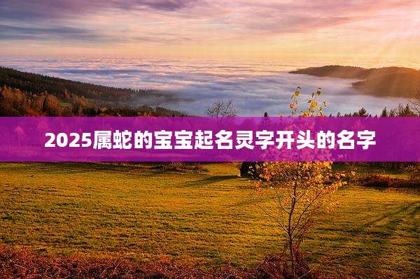 2025属蛇的宝宝起名灵字开头的名字